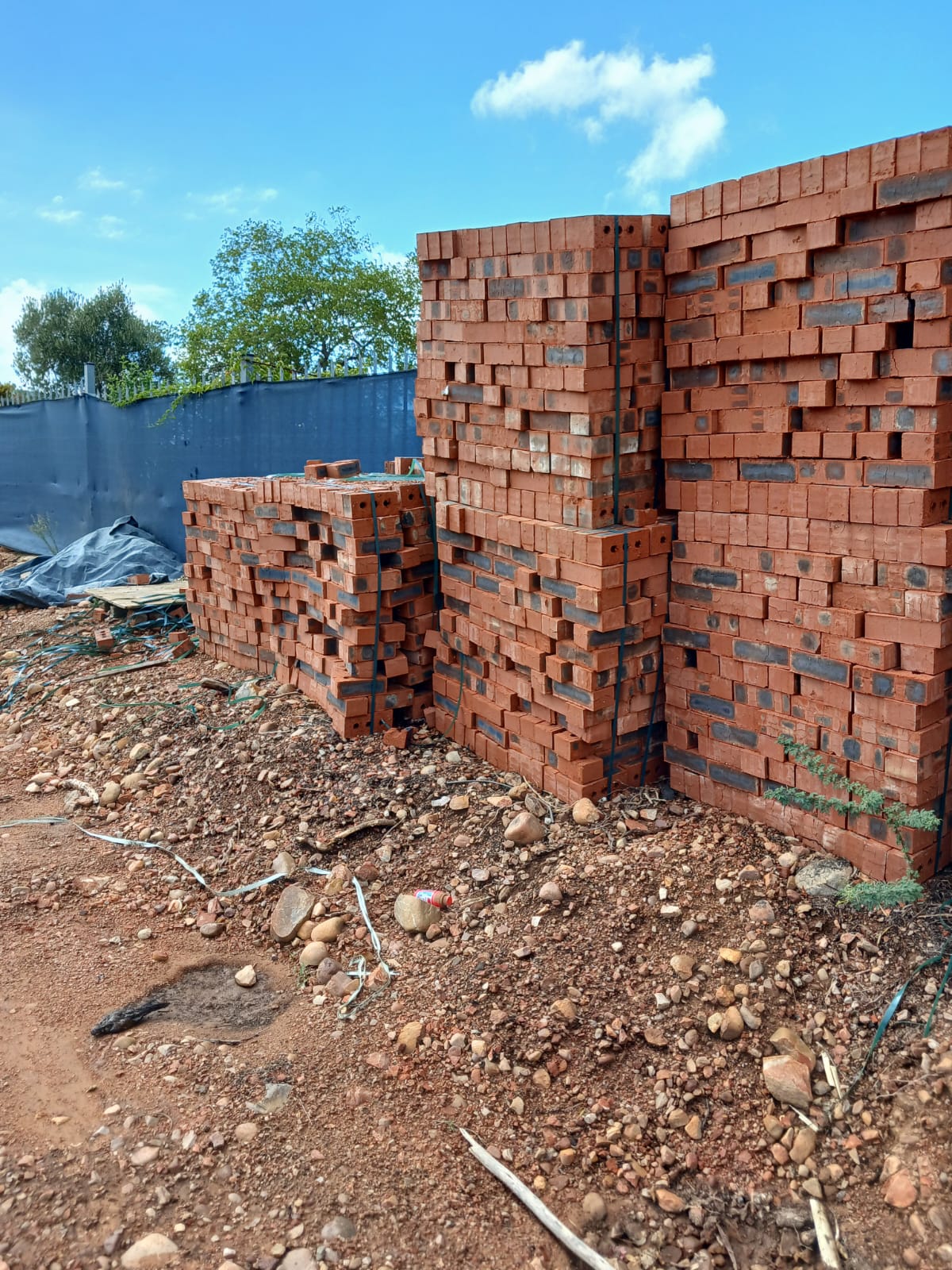 Du Plessis Family Home — photo 7 of 40