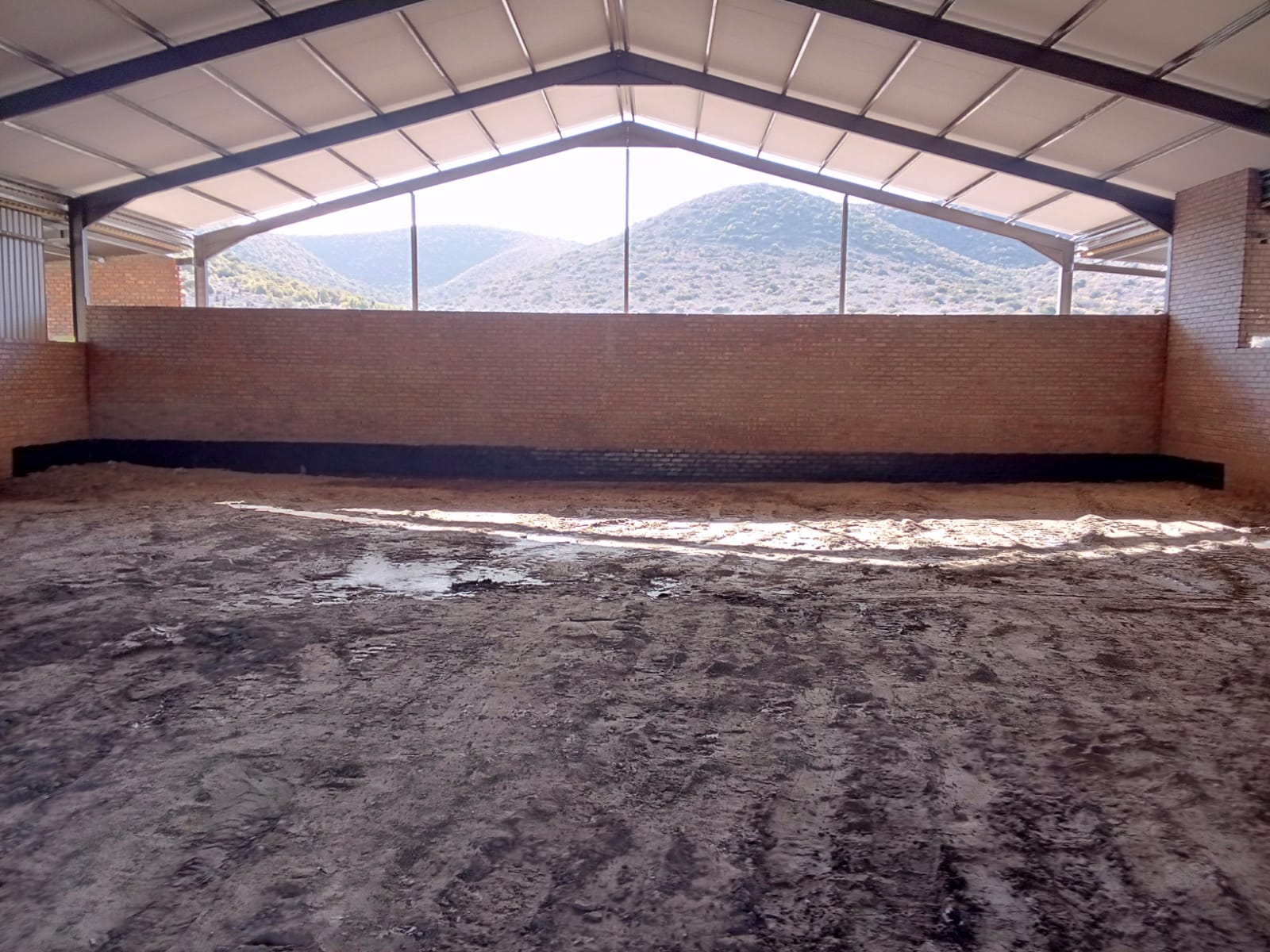 Zebara Warehouse — photo 11 of 15